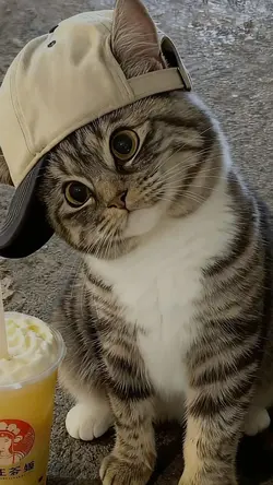 画像2枚 大人しめ 反転なし