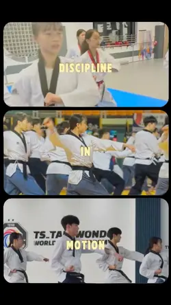 Taekwondo Training