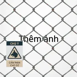 Mẫu Dành Để Troll