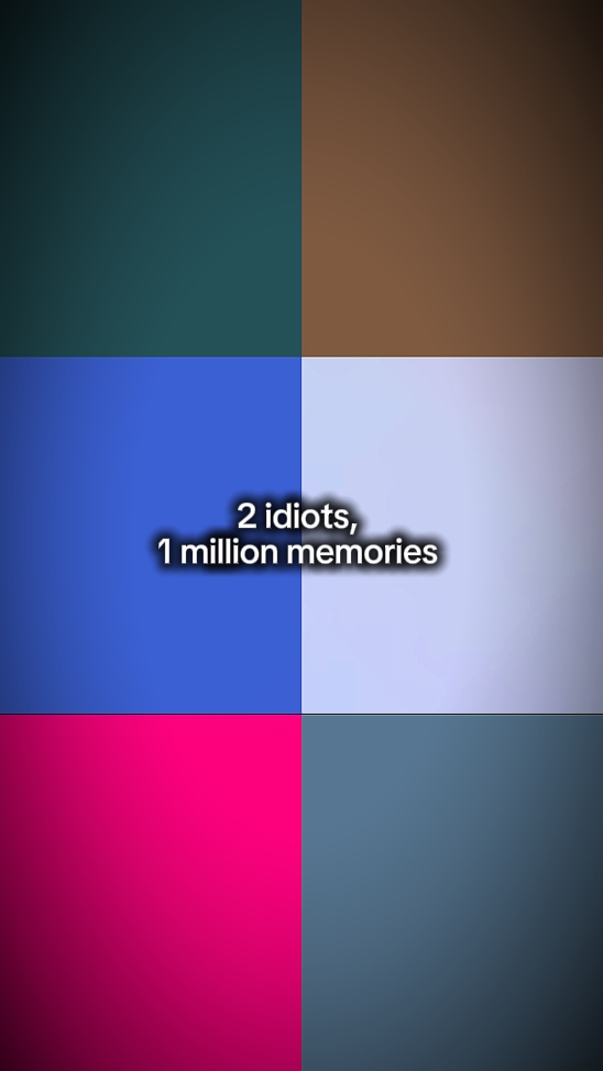 2 Idioten 1m Erinnerungen