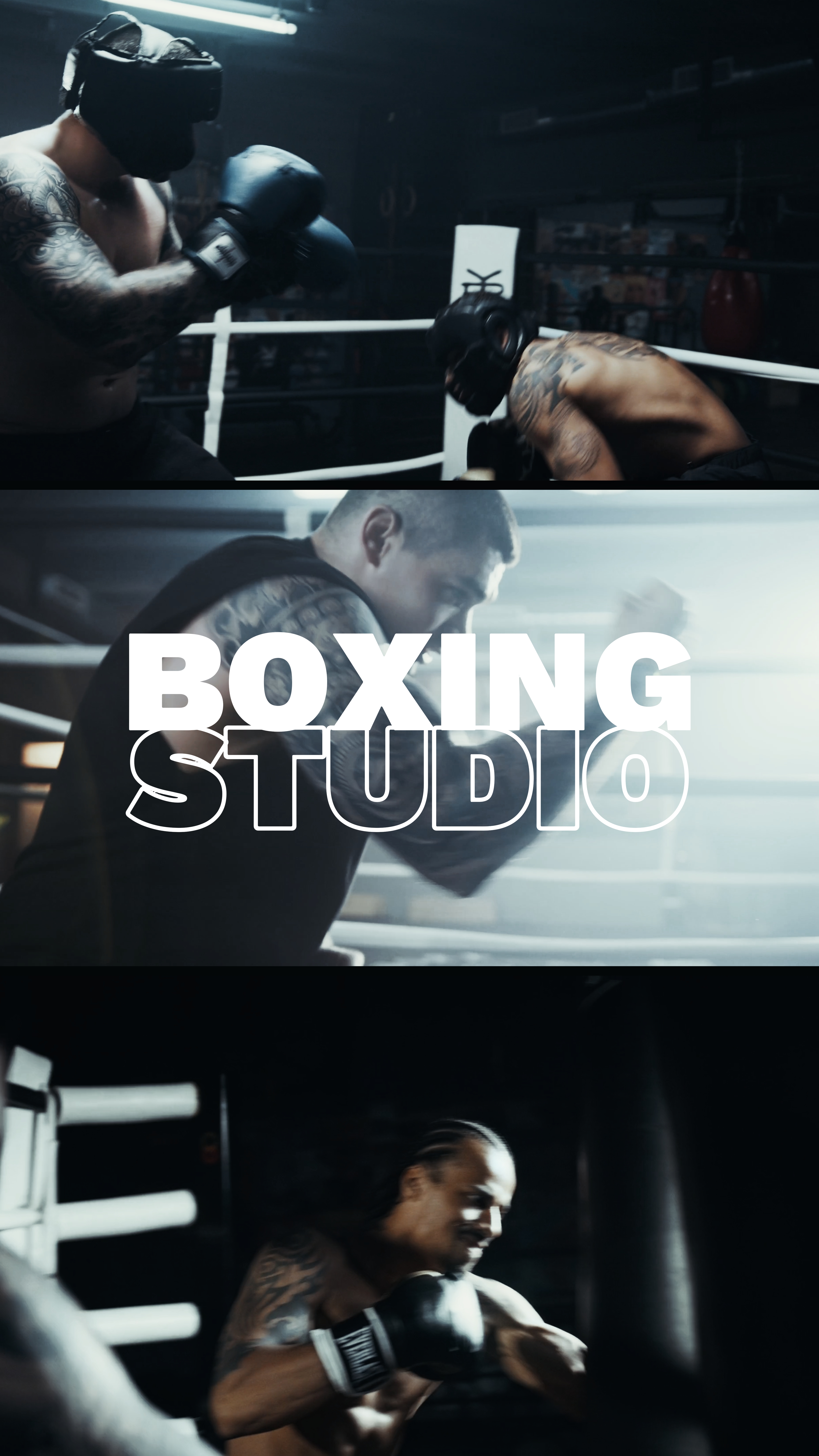 Estudio De Boxeo