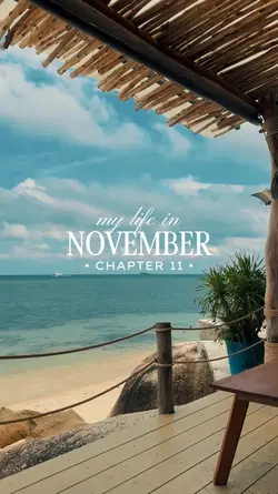 November Dump 