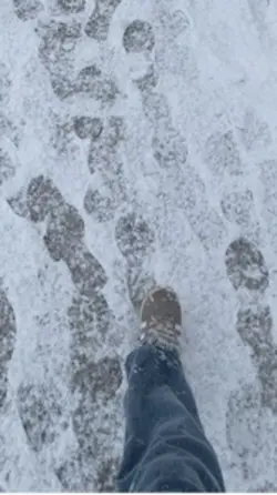 Kaşları keman güzeld