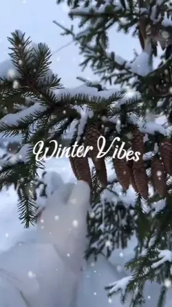 winter vibes