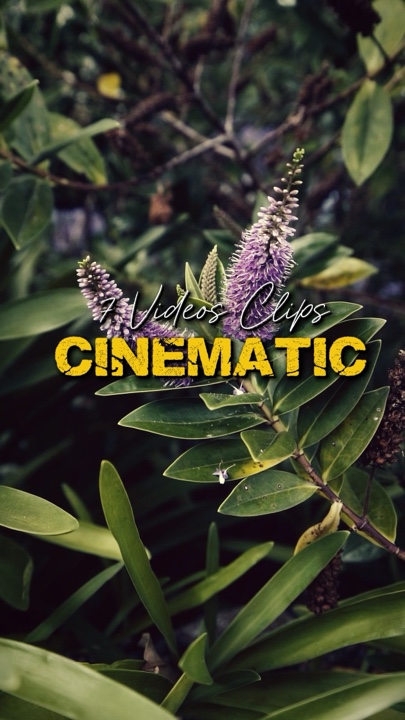 Vídeos Cinemáticos 7 