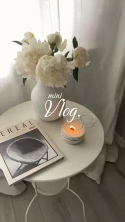 mini vlog