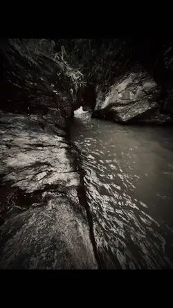 Mẫu góc rộng 🎬🎬