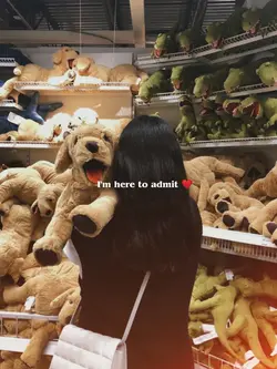 I'm here to admit 