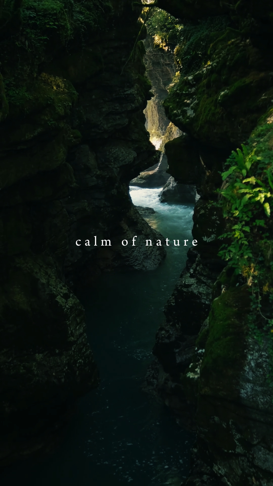 Calma de la naturaleza 