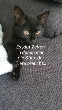 Stille der Tiere...