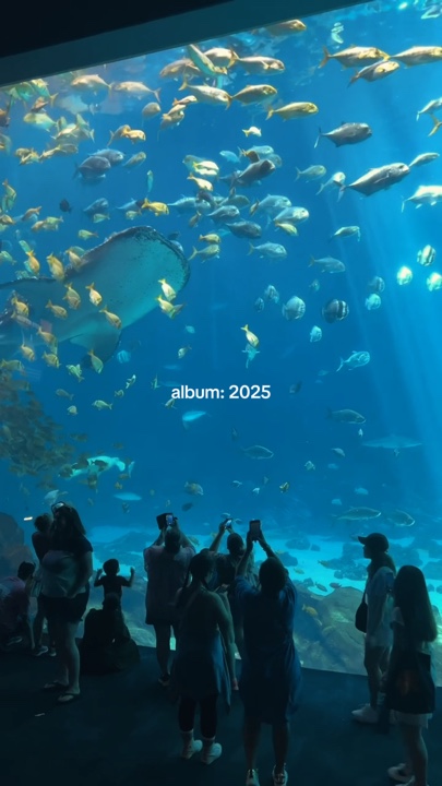album: 2025
