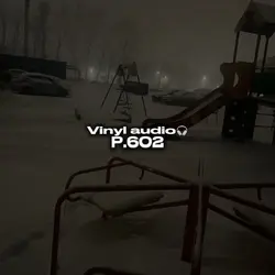 Vinyl audio p.602🎧