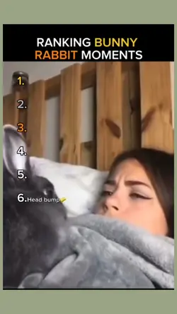 Bunny rabbit moments