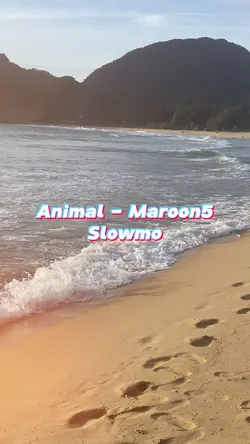 Animal - Maroon5