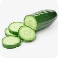 Cucumber