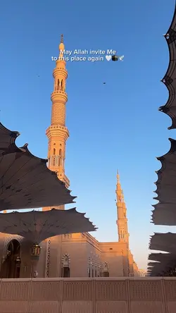 Mecca Medina  🤍🕊️
