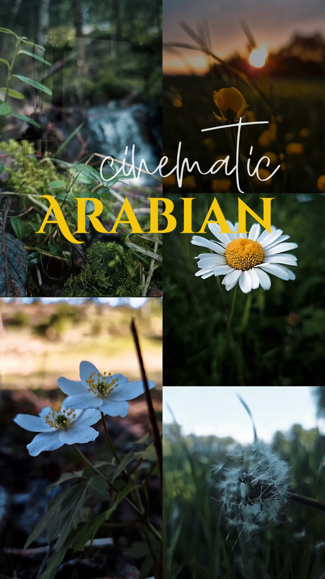 Sinematik Arap