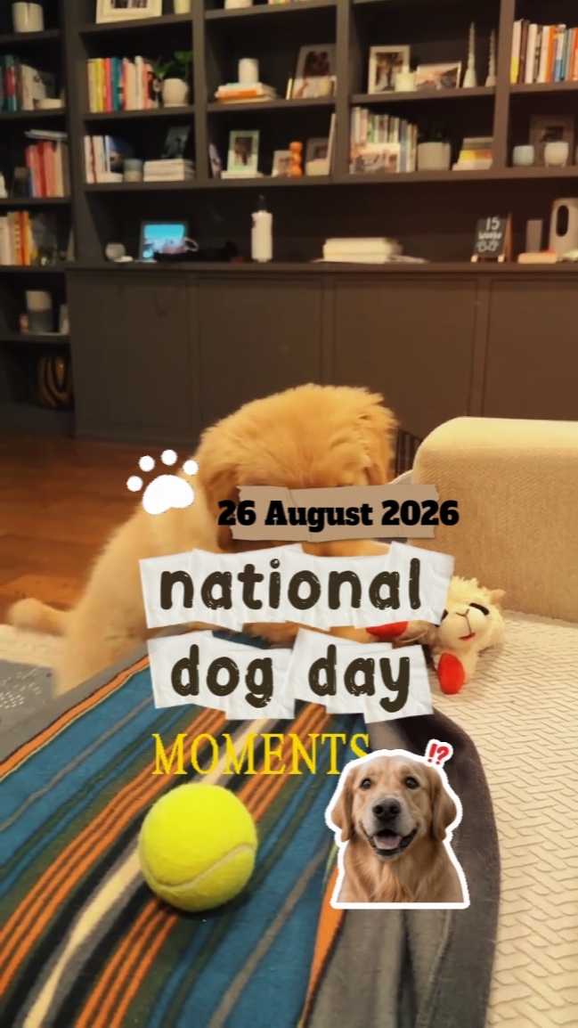 national dogday