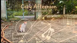 Cozy afternoon