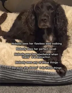 Well trained 🤣