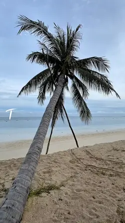 Philippines <3