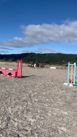 Flying 80cm ๐ชฝ