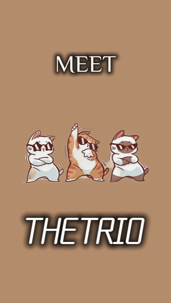 Meet the trio