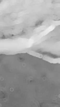 SlowMo 