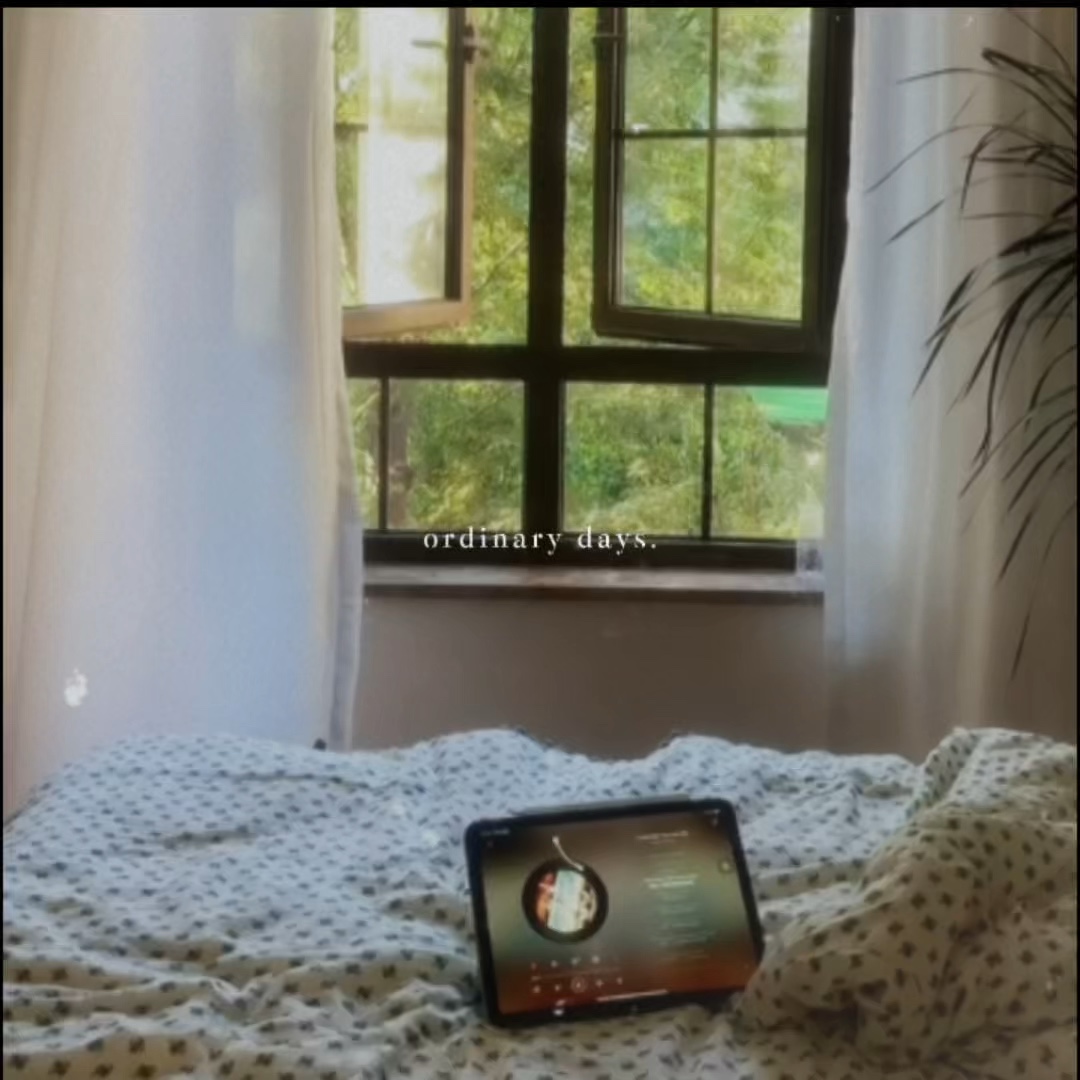 Vlog 