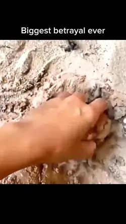 betrayal