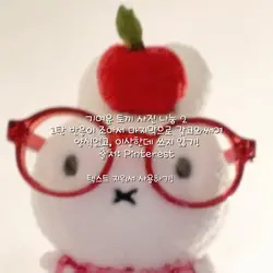 기여운 토끼 사진 나눔 2