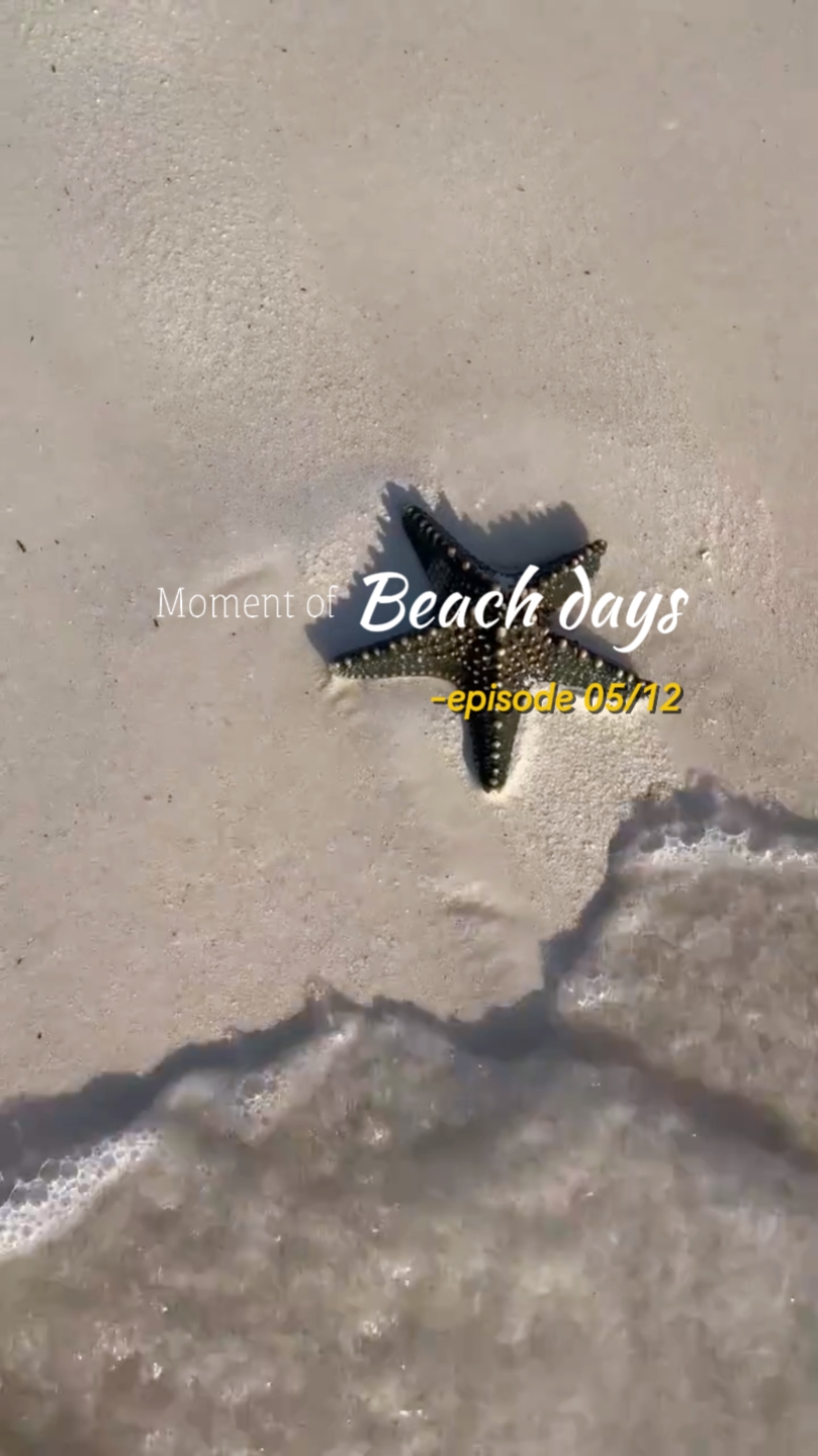 Resumen de la playa