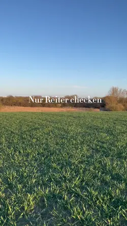 Reiten
