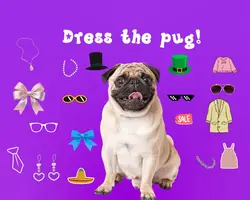 Dress the pug!
