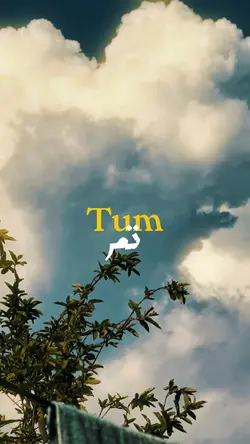 Tum (تم) 🌸