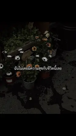ฉันไม่เคยมีความสุข