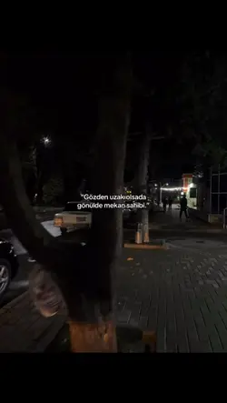 ilk ve son aşkımısın