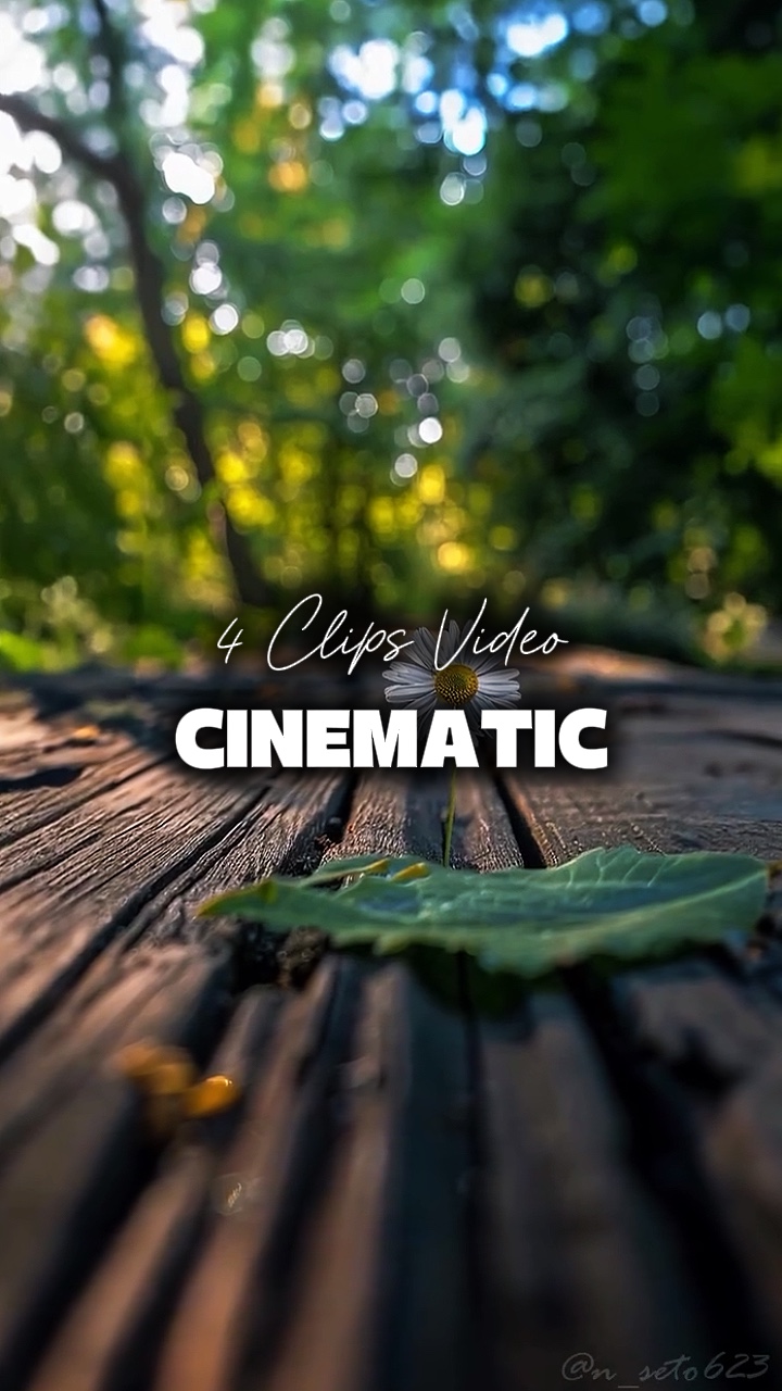 VIDEO DE 4 CLIPS 