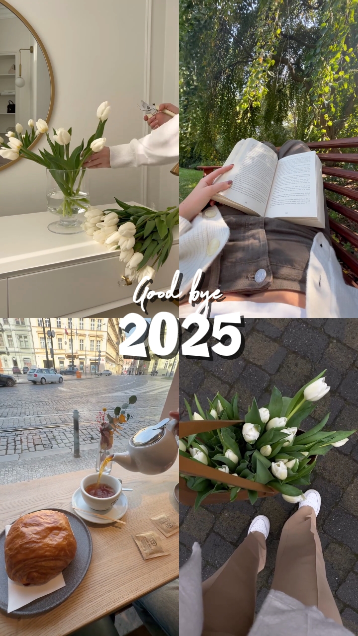 Adiós 2025