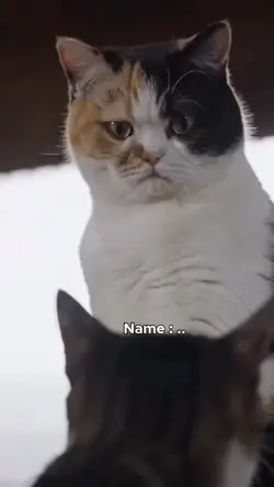 Nama yg bkin jengkel