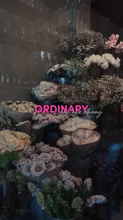 ORDINARY
