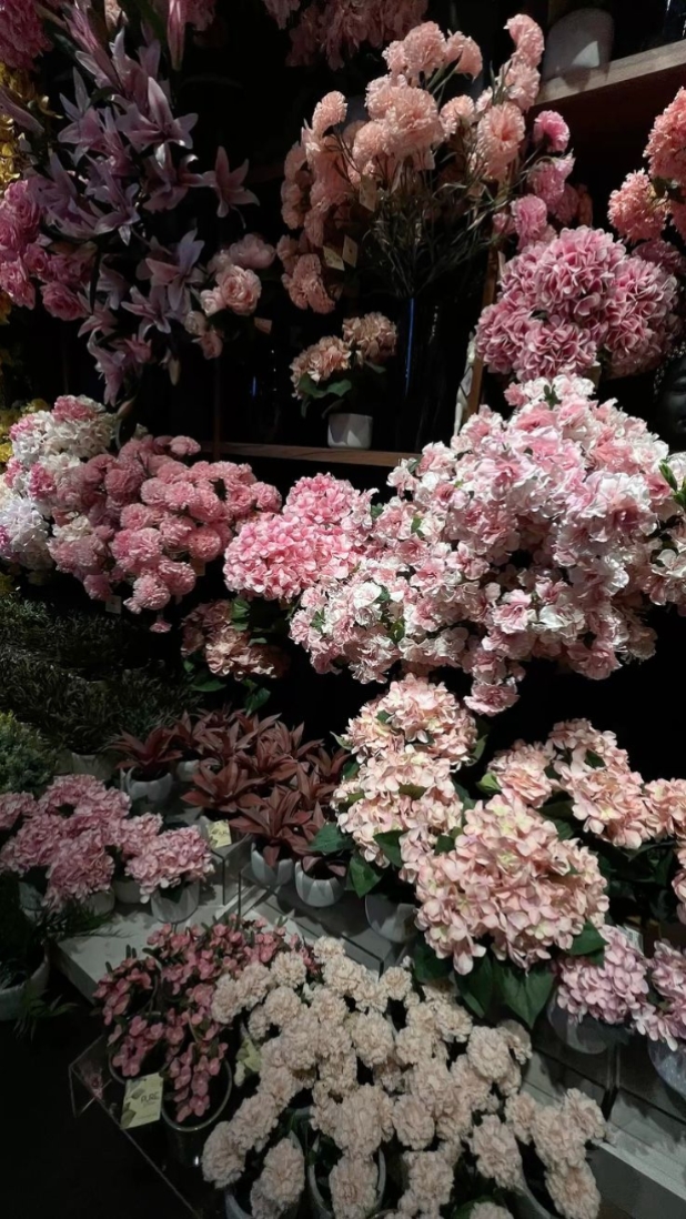 Aesthetic 