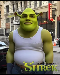 Shrek Filter 