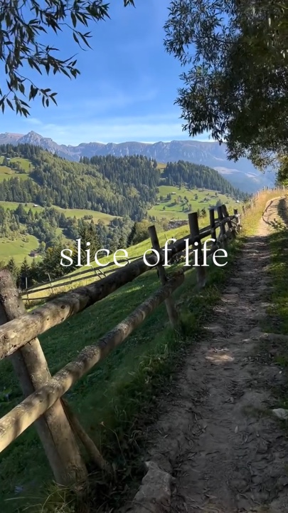 Slice of life 