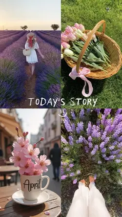 Todays story