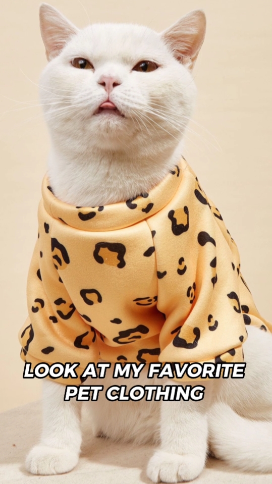 Pet Clothing Product Display Beating Match Tiktok Style 