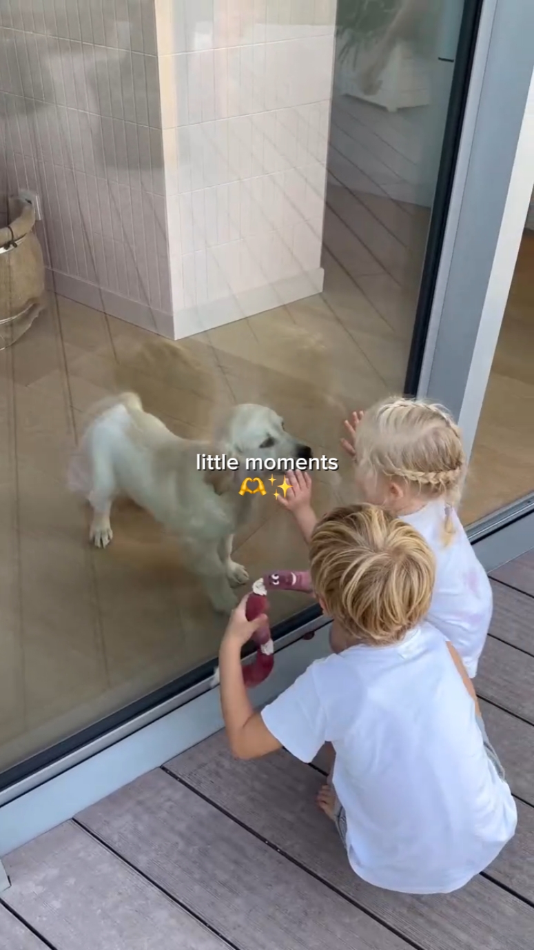 little moments story
