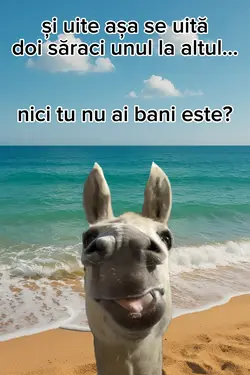 @solitare