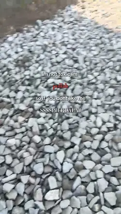 im not toxic 