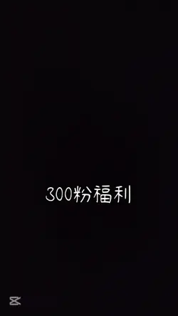 2張